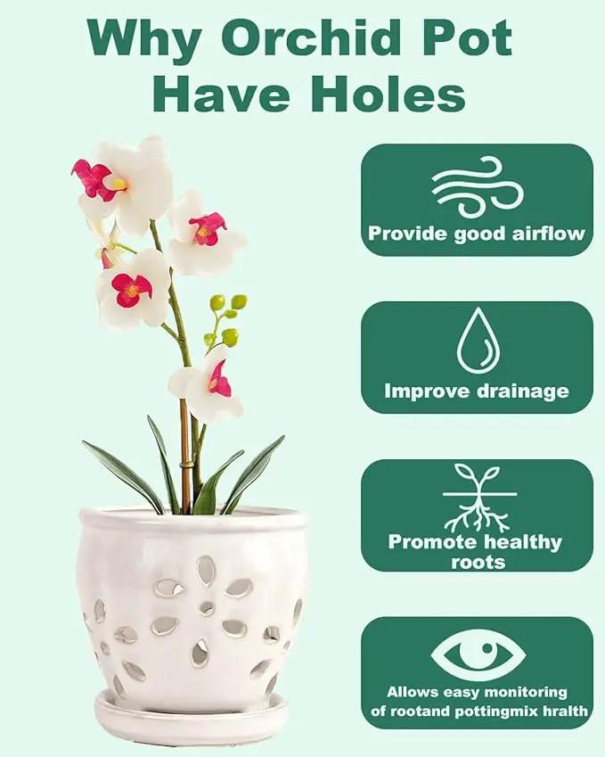 vensovo 5 Inch Ceramic Orchid Pots with Holes and Saucers - 1 Pcs Small Succulent Pot for Repotting, Garden Flowerpots for Plants Indoor and Outdoor Promotes Air Circulation, White by GreenHaven Gardens