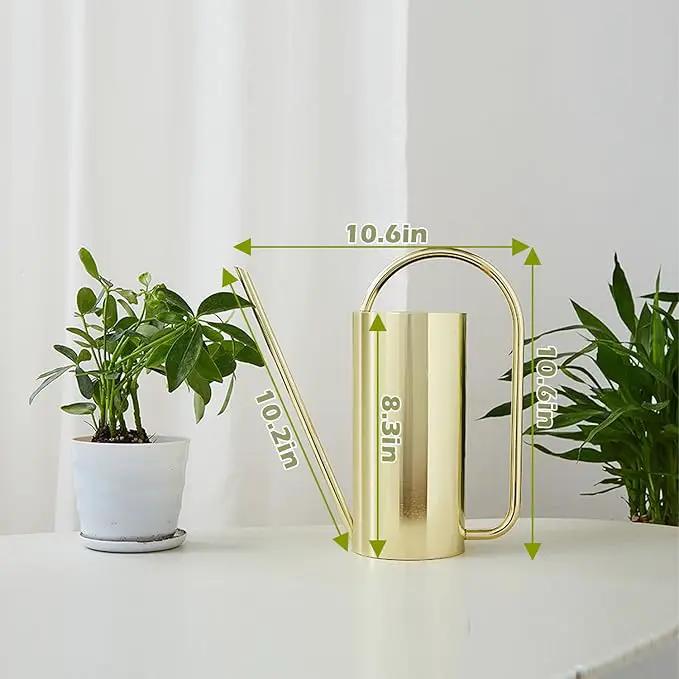 Watering Can for Indoor Plants, 50 oz/1.5L Stainless Steel Watering Can Pot with Long Spout, Garden Watering Cans with Comfortable Handle for Indoor House Plants Bonsai Flower Decorative by GreenHaven Gardens