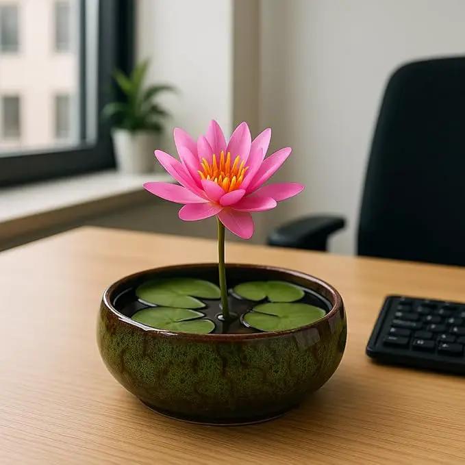 Lotus Bowl Planter, Lotus Bowls for Planting in Water Indoors,6.5-inch Round Succulent Flower Pot with Rotating Bracket, Leak-Proof Design, Suitable for hydroponic Plants, Succulents (Green) by GreenHaven Gardens
