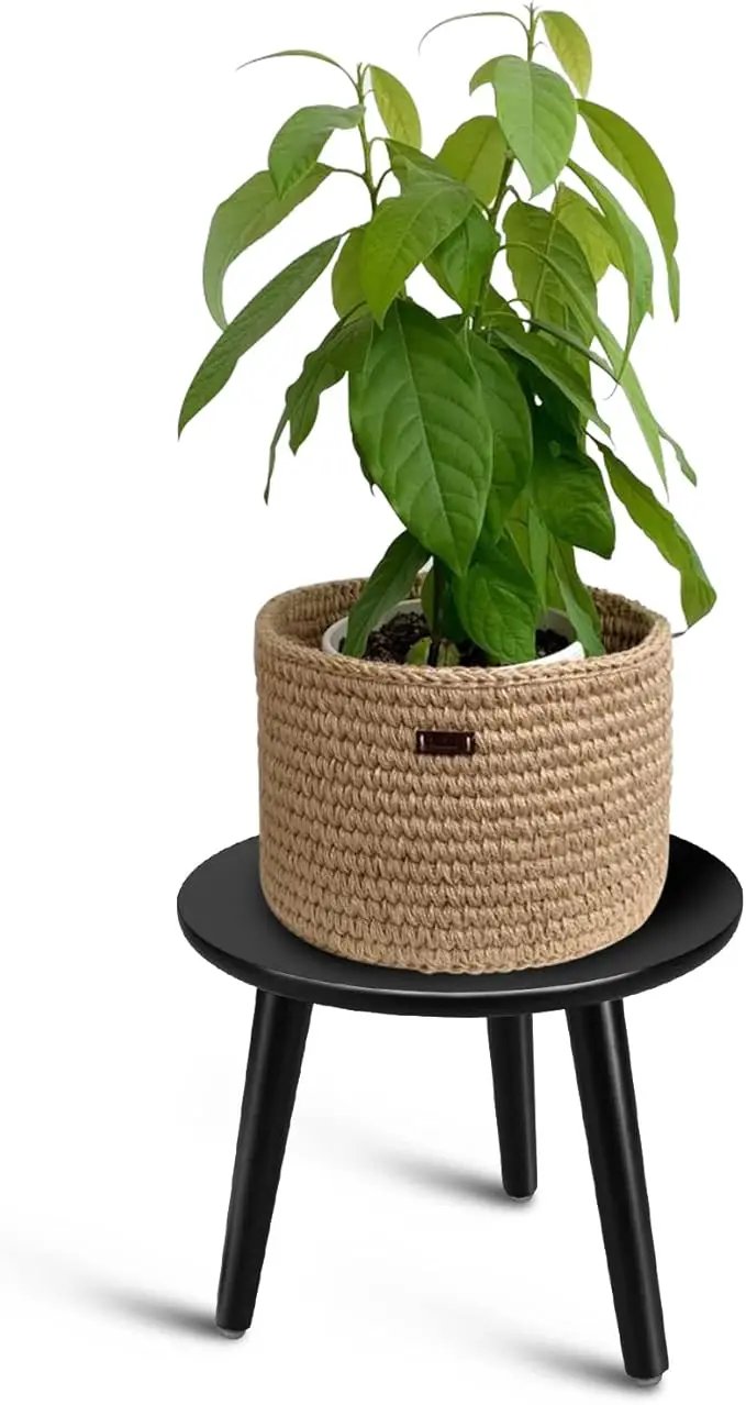 Uneedem Indoor Plant Stand, Modern Plant Table 8.9" Tall Wood Mid Century Flower Holder Small Round Side End Table by GreenHaven Gardens