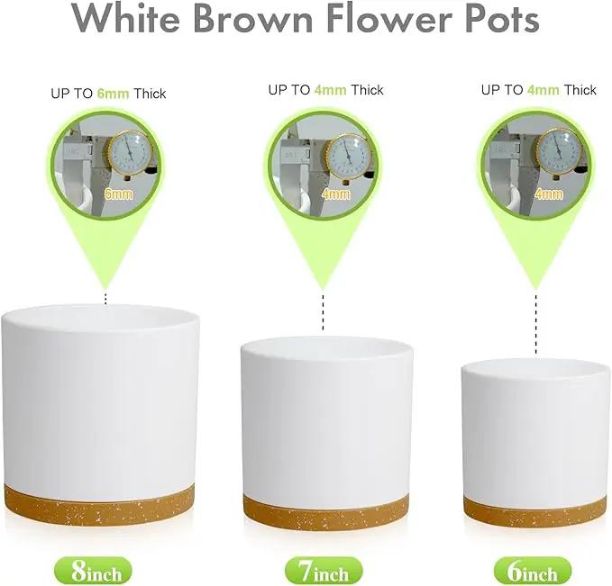 8/7/6 inch Plant Pots, 3 Pack Cylinder Flower Pots for Outdoor Indoor Plants, Decorative Plastic Planters with Drainage Holes and Saucers for Garden House Plants, White with Brown by GreenHaven Gardens