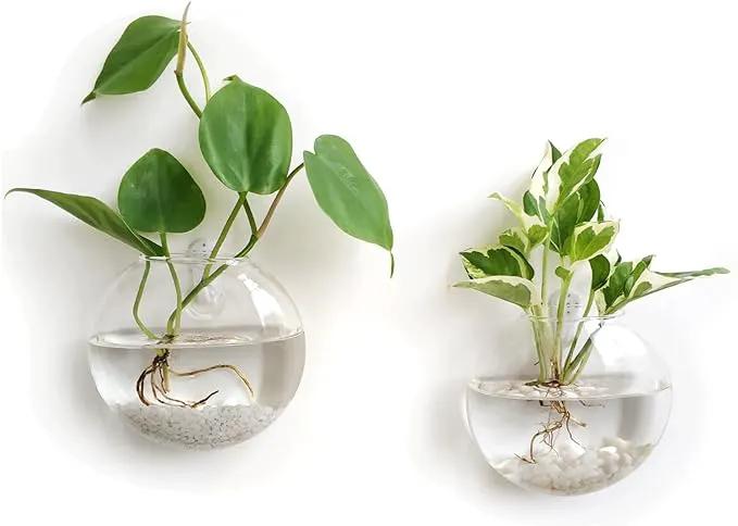 Mkono Wall Hanging Glass Terrariums Planter Oblate Flower Vase for Hydroponics Plants, Bathroom, Home Office Living Room Decor, Set of 2 by GreenHaven Gardens