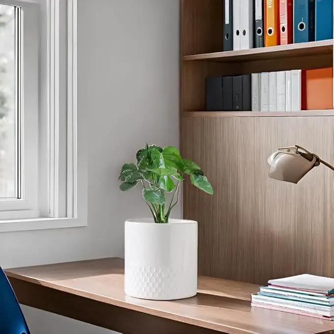 Docrin Ceramic Planters Indoor: 8 Inch Plant Pots with Drainage Holes for Home/Office - White Honeycomb by GreenHaven Gardens
