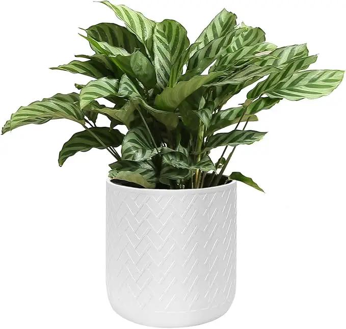 12 Inch Flower Pot Without Bracket with Drainage Holes Suitable for Indoor and Outdoor Decorative Planting (White Rectangle, 12 Inches) by GreenHaven Gardens