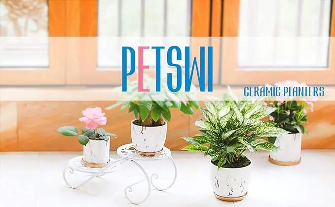 8 Inch Ceramic Plant pots (Set of 2), 8 Inch 7 Inch Modern Flower Planter, Gold Marble Gardening Pots with Drainage Hole and Saucer for Outdoor Indoor Yard Garden Home Office Decoration. by GreenHaven Gardens