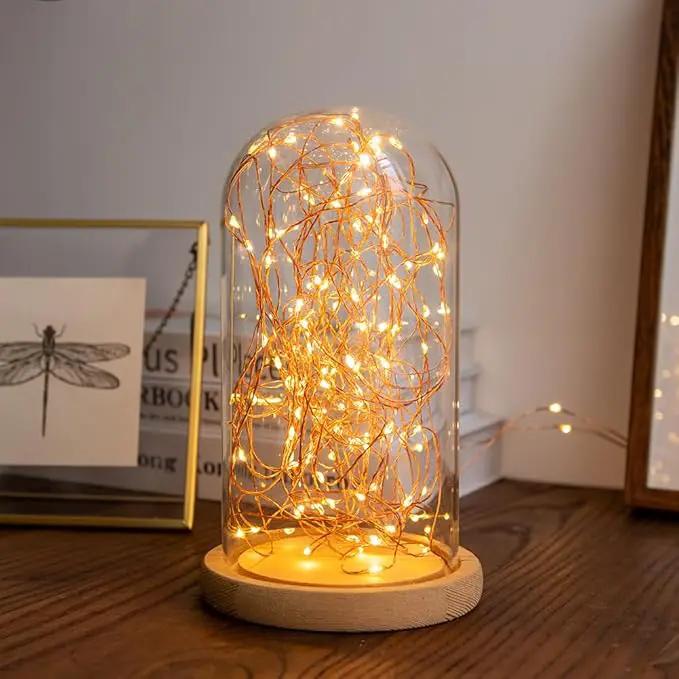Solar String Lights Outdoor,100FT 300 LEDs Solar Fairy Lights,Waterproof Solar Light for Outside 8 Modes Button Controlled for Patio Gardens Backyard Tree Wedding Christmas,Warm White by GreenHaven Gardens