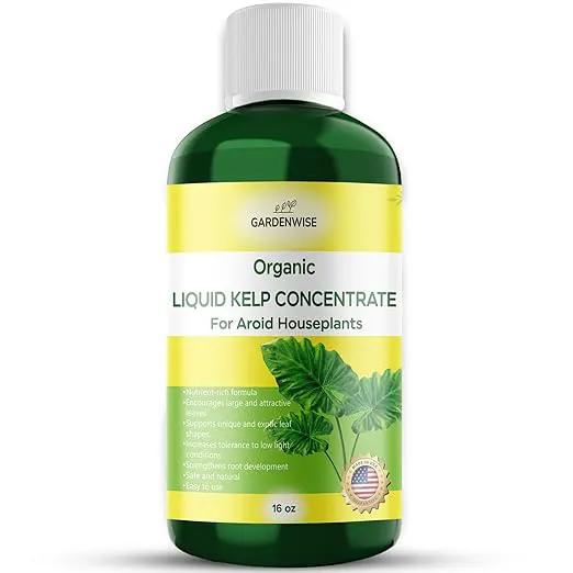 Organic Premium Seaweed Fertilizer - Liquid Kelp Plant Food for Aroid Houseplants: Monstera, Philodendron, Pothos, ZZ Plant, Dieffenbachia, Alocasia, Caladium (16 OZ) by GreenHaven Gardens
