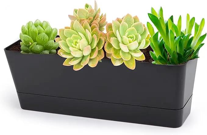 GREANER 12x3.8 Inch Herb Planters, 1 Pack Rectangle Window Boxes with Tray, Indoor Succulent Cactus Mint Plastic Pot for Windowsill, Balcony, Office, Outdoor Garden - Black by GreenHaven Gardens
