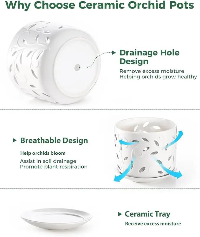 EFISPSS Orchid Pot with Holes, 5+6Inch Ceramic Plant Pots with Drainage Holes and Tray, Promoting Air Circulation and Drainage, Indoor/Outdoor White Flower Pots by GreenHaven Gardens