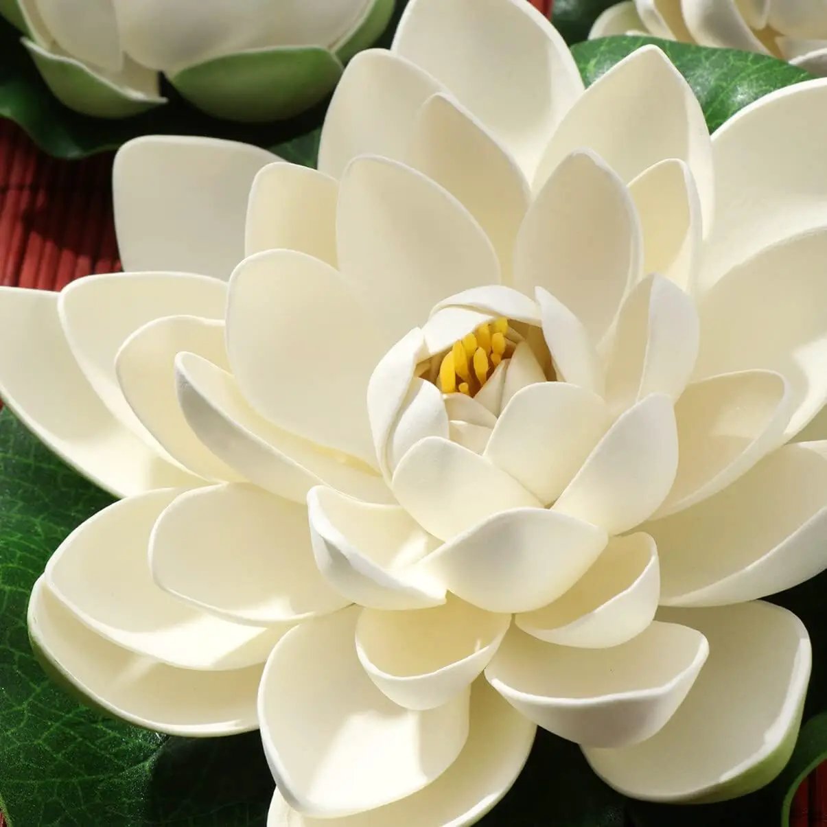 Ciieeo 6PCS Artificial Floating Lotus Flowers Realistic White Lotus & Water Lily Pads for Pool Patio Garden Aquarium Decor by GreenHaven Gardens