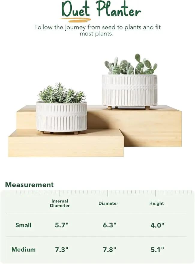 LE TAUCI Succulent Pots, 6.5+8 Inch Ceramic Indoor Plant Pot with Drainage Hole, Modern Round Decorative Flower Pot, Set of 2, Reactive Glaze White by GreenHaven Gardens