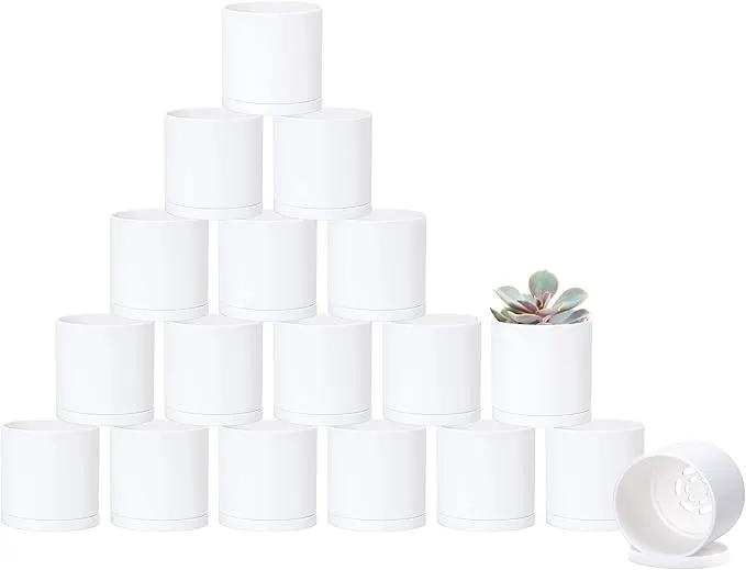D'vine Dev 18 Pack 2.5 Inch Mini Plastic Plant Pots, Small Garden Planters for Plant with Drainage Holes and Saucers, White Color, 74-Z-B-5 by GreenHaven Gardens