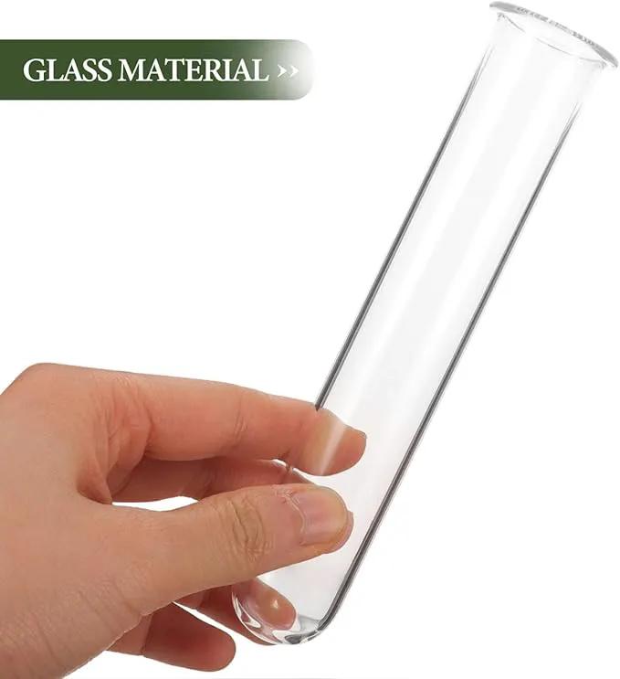Alipis 4pcs Glass Propagation Stations Accessories Glass Test Tubes Tiered Planters Wall Terrarium for Home Office Plant Hanger Flower Vases Wall Decor Hydroponic Cuttings by GreenHaven Gardens