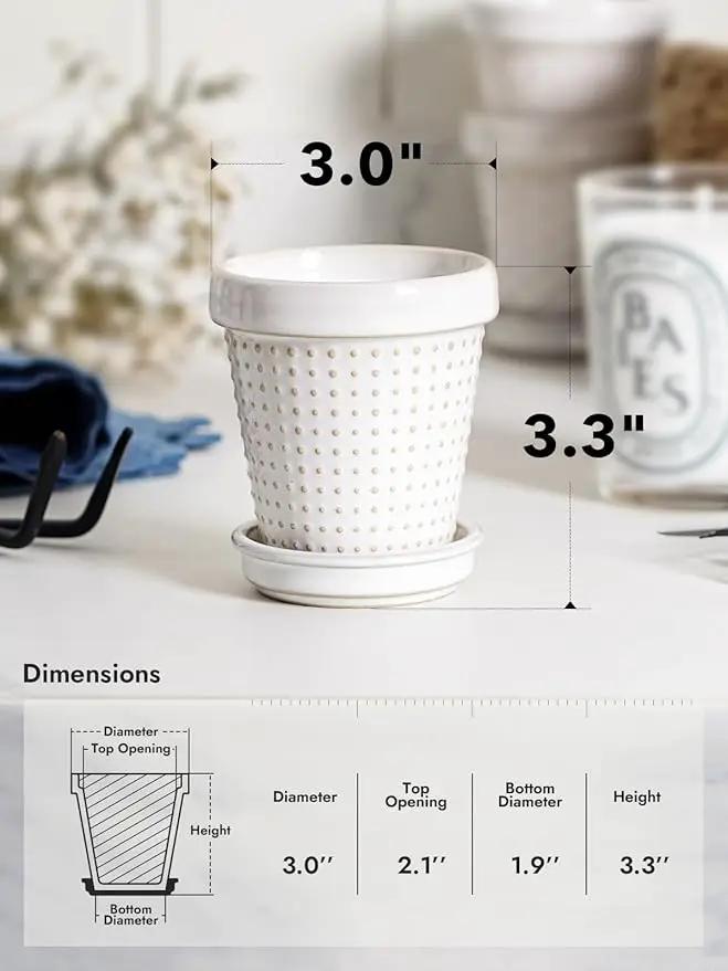 LE TAUCI Ceramic Succulent Pots, 3 Inch Mini Flower Pots for Indoor Plant Cactus, Embossed Small Plant Pot with Drainage Hole & Saucer, Home Decor - Set of 4, Arctic White by GreenHaven Gardens
