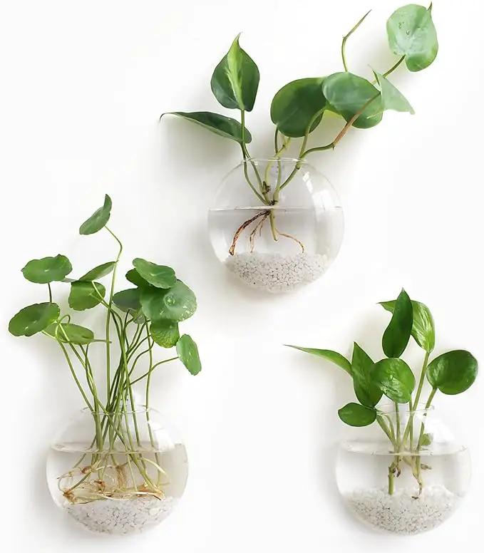 Mkono Wall Hanging Planter Propagation Station Glass Flower Vase for Hydroponics Plants, Bathroom, Home Office Living Room Decor Gift, Oblate Set of 3 by GreenHaven Gardens