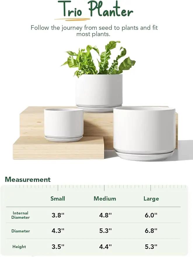 LE TAUCI Plant Pots Indoor, 4.3+5.3+6.8 Inch, Set of 3, Ceramic Planters with Drainage Hole and Saucer, Modern Indoor Flower Pot with Hole Mesh Pad, Gifts for Mom, Classic White by GreenHaven Gardens