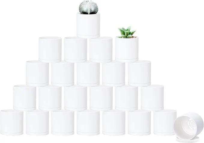 D'vine Dev 24 Pack 2 Inch Mini Plastic Plant Pots, Small Garden Planters for Plant with Drainage Holes and Saucers, White Color, 74-Z-A-6 by GreenHaven Gardens