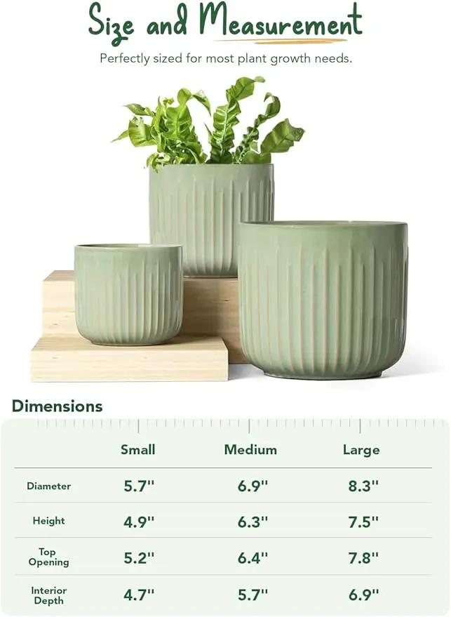 LE TAUCI Fluted Ceramic Planters Set of 3 – 8.3/7 / 5.7 in Sage Green Reactive Cylinder Indoor Plant Pots with Drainage Plug & Mesh, Glossy Stoneware Flower Pots for Succulents Herbs by GreenHaven Gardens