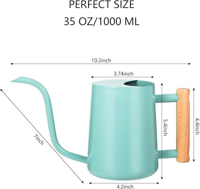 Watering Can Indoor Plants, 35oz Small Watering Can Indoor Stainless Steel Metal Watering Can Modern Decorative Watering Pot with Long Spout for Indoor House Plant Bonsai Outdoor Garden Flowers -Green by GreenHaven Gardens