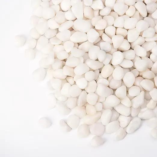 5 lbs White Pebbles for Vases, 3/8" Small Plant Rocks for Pots Indoor, Decorative Pea Gravel for Succulents, Bamboo, Terrarium, Landscape, Garden by GreenHaven Gardens
