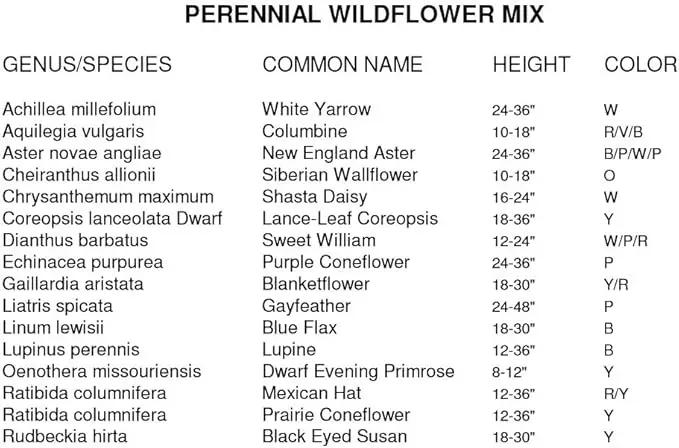 Non GMO Bulk All Perennial Wildflower Seed Mix (1/2 Lb) 188,000 Seeds by GreenHaven Gardens