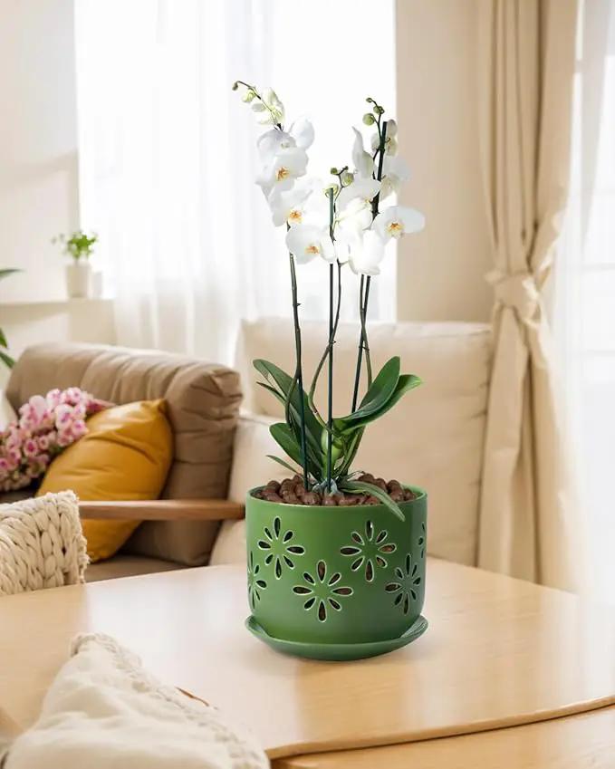 EFISPSS Orchid Pots with Holes,5+6 Inch Ceramic Plant Pots with Drainage Holes and Tray,Enhanced Drainage and Ventilation,Flower Pots for Indoor/Outdoor Plants for Repotting - Green by GreenHaven Gardens