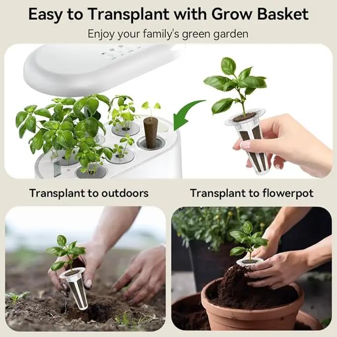 inbloom Asian Herb Seed Pod Kit for AeroGarden, iDoo, Ahopegarden, 7 Pods with 350+ Seeds (Basil, Parsley, Cilantro, Chrysanthemum, Pak Choi, Crystalline Ice Plant, Onion) Hydroponics Growing System by GreenHaven Gardens