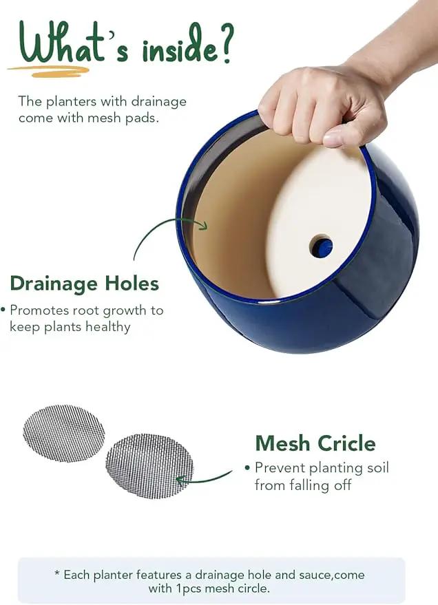 LE TAUCI Plant Pots, 4.1+5.1+6.5 inch, Set of 3, Ceramic Planters with Drainage Hole and Saucer, Indoor Flower Pot with Hole Mesh Pad, Gifts for Mom, Sapphire Blue by GreenHaven Gardens