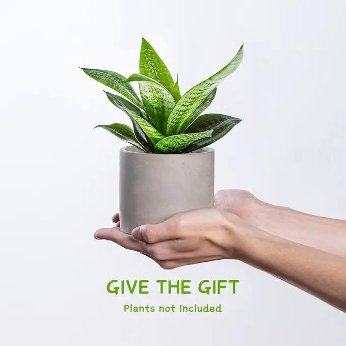 Ekirlin 3.5 in Plant Pot Indoor - Grey Cement Planters with Drain Hole, Removable Rubber Stopper, Non-Slip Soft Pad - Concrete Planter for Most Indoor Plants and Flowers by GreenHaven Gardens