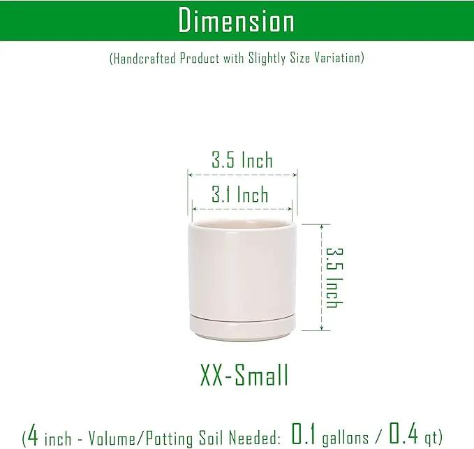 D'vine Dev Set of 4 Small Ceramic Plant Pots, 3.5 Inch Succulent Planter Pot for Plants with Drainage Hole and Saucer, Oatmeal, 94-X-A-8 by GreenHaven Gardens