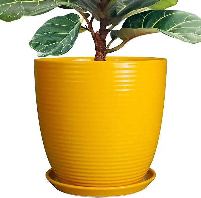 12 Inch Pots for Plants - Ceramic Planter for Indoor Plants Large Plant Pot with Drainage Hole and Saucer Round Outdoor Flower Pot for Garden Home Patio Office Yellow by GreenHaven Gardens
