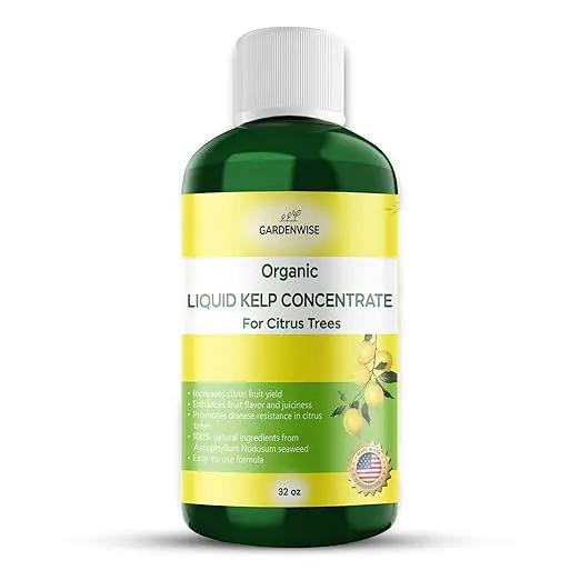 Organic Premium Kelp Seaweed Fertilizer: All-in-One Citrus Tree Fertilizer for Meyer Lemon, Lime, and Other Fruiting Trees - Liquid Plant Food for Potted & Outdoor Citrus Trees (32 OZ) by GreenHaven Gardens