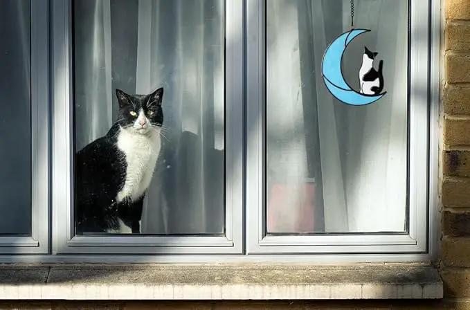 Black and White Cat Gifts，Cat Loss Sympathy Gift，Cat Memorial Gifts for Loss of Cat，Tuxedo cat Gifts，Cat Suncatcher，Stained Glass Cat Window Hanging by GreenHaven Gardens