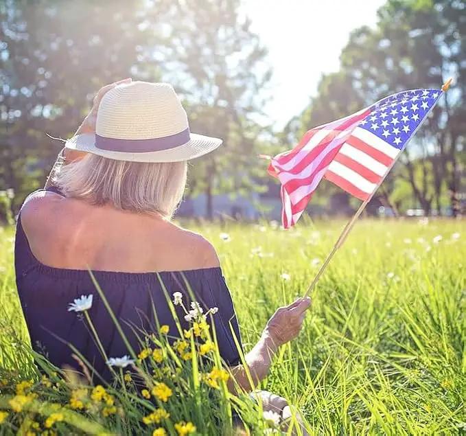 100 Pcs 12x18 Inch American Flags on Stick, American Flags, USA Stick Flag with Handheld and Grounded Multi-Purpose Flagpole, Design for Memorial Day, 4th of July, Veterans Day by GreenHaven Gardens