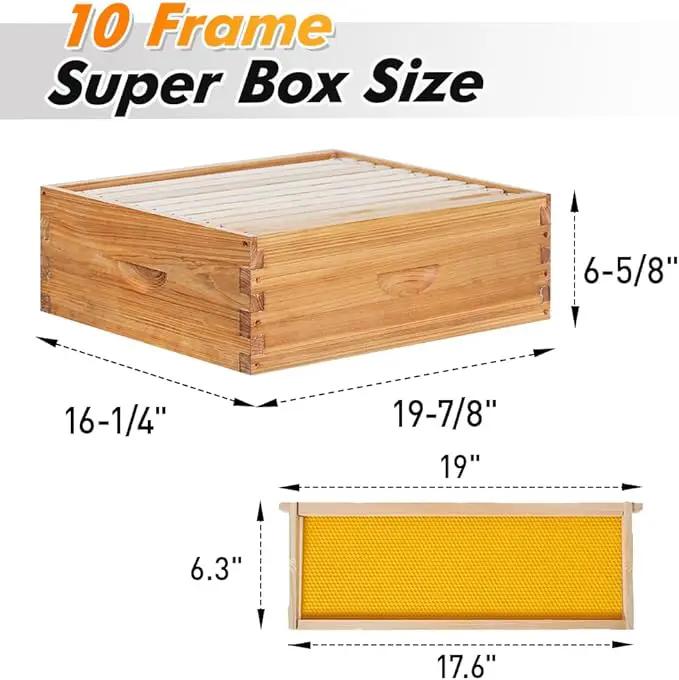 POLLIBEE 10 Frame Langstroth Beehive, Beeswax Coated Bee Hives for Bee Keeper,Beehive Include 2 Deep Bee Boxes and 1 Medium Bee Hive Box with Frame and Foundation(Unassembled) by GreenHaven Gardens