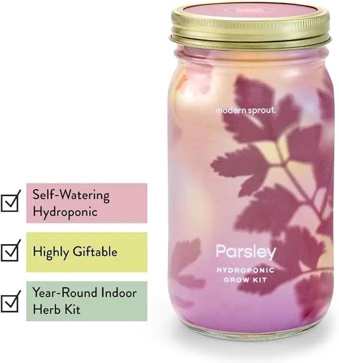 Modern Sprout Mason Garden Jar - Self-Watering Hydroponics Growing System Kit with Organic Herb Seeds - Jar Planter for Indoor Herb Garden - Seed Starter Kit - Home Decor & Gifting - Parsley by GreenHaven Gardens