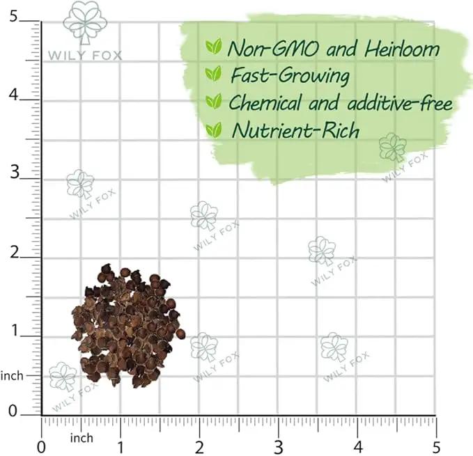 Premium Rare Hollyhock Seeds – 400+ Double Hollyhock Flower Seeds – Non-GMO, Heirloom Perennial – Showy Blooms for Outdoor Planting (Double Hollyhock Mix) by GreenHaven Gardens