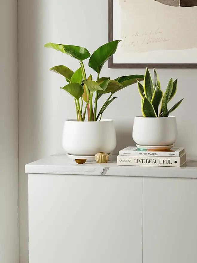 LE TAUCI Ceramic Plant Pots, 4.1+5.1+6.5 inch, Set of 3, Planters with Drainage Hole and Saucer, Indoor Flower Pot with Hole Mesh Pad, Gifts for Mom, White by GreenHaven Gardens