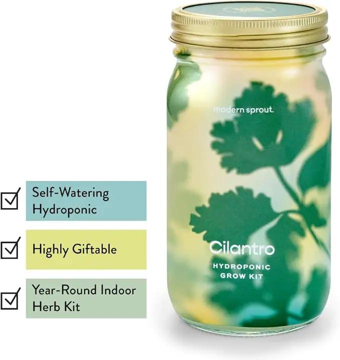 Modern Sprout Mason Garden Jar - Self-Watering Hydroponics Growing System Kit with Organic Herb Seeds - Jar Planter for Indoor Herb Garden - Seed Starter Kit - Home Decor & Gifting - Cilantro by GreenHaven Gardens