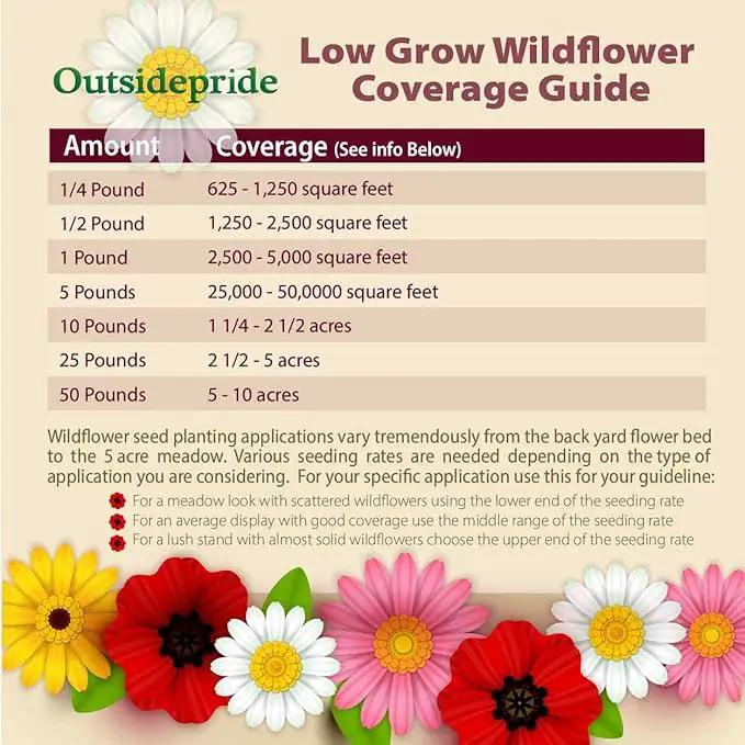 Outsidepride Low Growing Wildflower Seeds - 5 lbs Dwarf, & Short, Diverse Perennial & Annual Wild Flower Seed Mix with Long Bloom Season for Colorful Display That Thrives on All States by GreenHaven Gardens