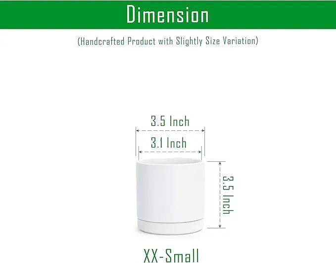 D'vine Dev Set of 4 Small Ceramic Plant Pots, 3.5 Inch Succulent Planter Pot for Plants with Drainage Hole and Saucer, White, 94-X-A-1 by GreenHaven Gardens