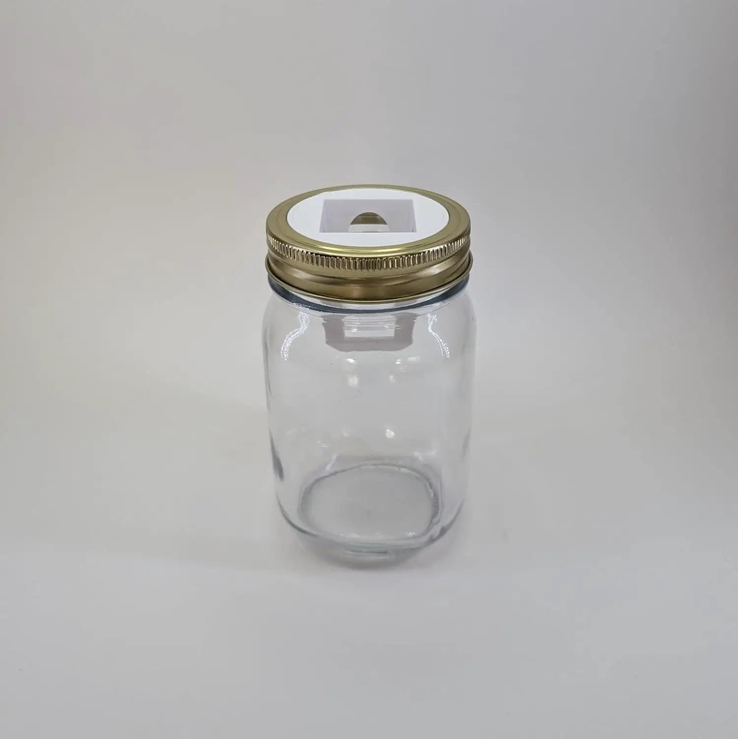 Grow Cubes Mason Jar Adapters for Kratky and DWC Gardening/Compatible with Gardyn (10 Mason Jar adapters) by GreenHaven Gardens