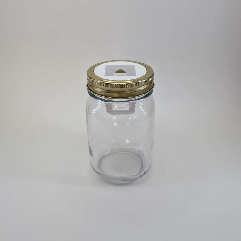 Grow Cubes Mason Jar Adapters for Kratky and DWC Gardening/Compatible with Gardyn (10 Mason Jar adapters) by GreenHaven Gardens