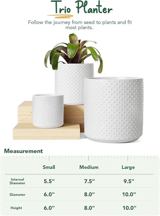 LE TAUCI Ceramic Plant Pots Indoor, 10+8+6 Inch Planters for Indoor Plants, Raised Dots Flower Pots with Drainage Hole and Plug, Cylinder Round Planters, Set of 3, White by GreenHaven Gardens