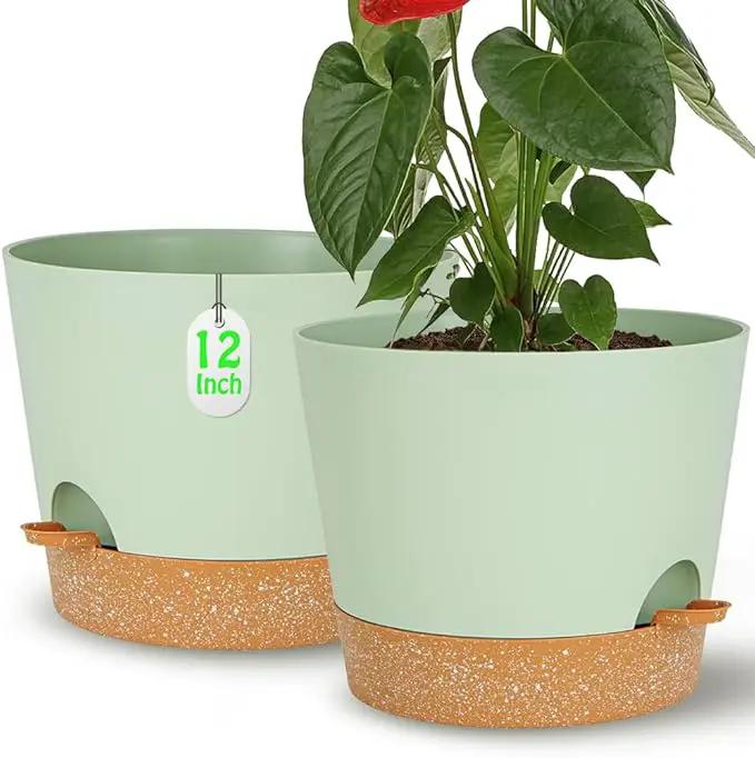 Self Watering Green Plastic Plant Pot Flower Planters with Drainage Hole And Deep Reservoir Large Planting Pots for for All Houseplants,Succulent, African Violets, Flowers and Cactus 12Inch/2pcs by GreenHaven Gardens