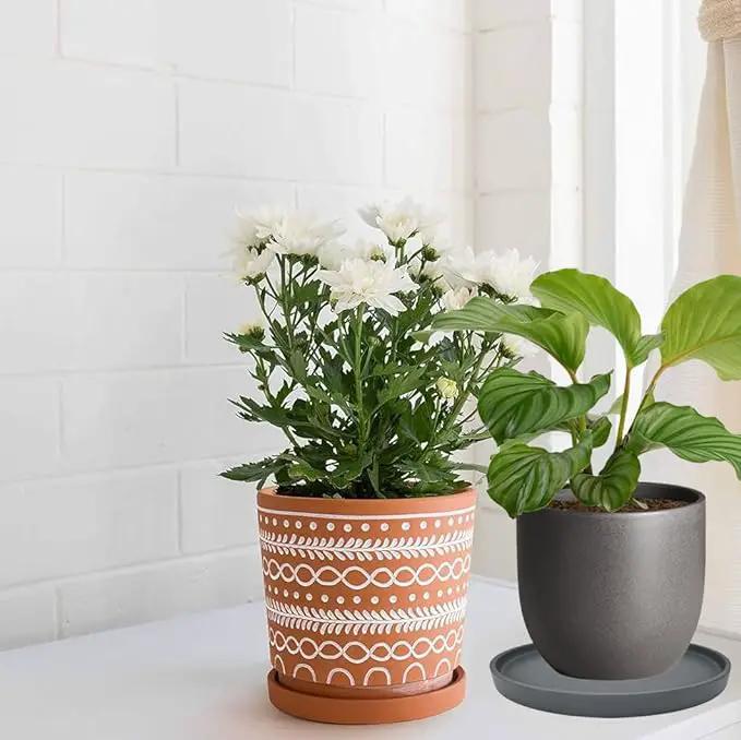 Ceramic Plant Saucer Pot Tray 12 Inch, Planter Saucers 4 5 6 7 8 9 10 11 12 13 Inch for Indoors Outdoor, Durable Sturdy Flower Drainage drip Water Tray for Glazed Pots Base (12.7 Inch-Grey) by GreenHaven Gardens