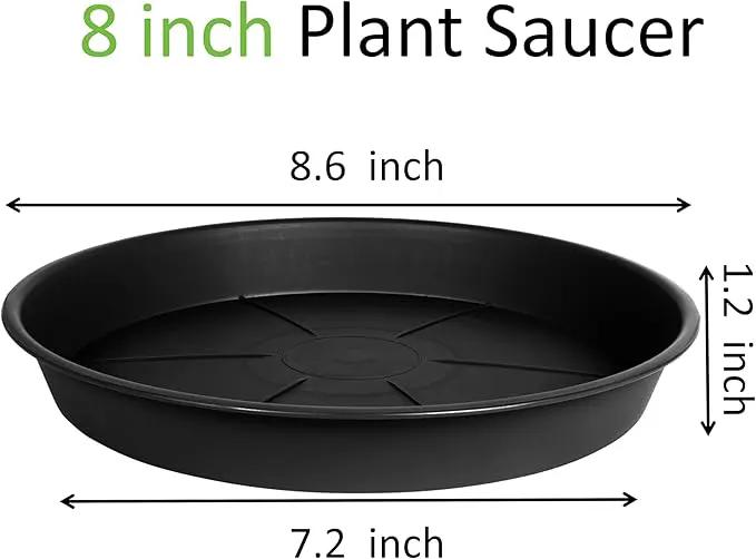 1 Pack of Plant Saucer Tray 8 inch, Heavy Duty Plastic Pot Plant Drip Trays Saucers for for Indoors Outdoor, Plant Water Tray for Planters (8", Black) by GreenHaven Gardens