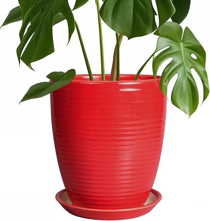Ceramic Pot for Plants - 8 Inch Plant Pot for Indoor Plants Outdoor Round Planter Modern Flower Pot with Drainage Hole and Saucer Home Garden Office Porch Decor Red by GreenHaven Gardens