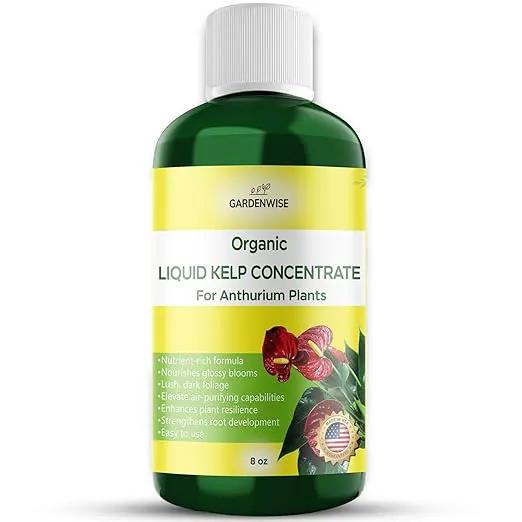 Organic Premium Seaweed Anthurium Fertilizer - Liquid Kelp Plant Food - Nutrient-Rich Soil Enhancer (8 OZ) by GreenHaven Gardens