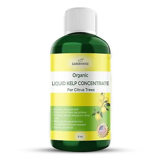 Organic Premium Kelp Seaweed Fertilizer: All-in-One Citrus Tree Fertilizer for Meyer Lemon, Lime, and Other Fruiting Trees - Liquid Plant Food for Potted & Outdoor Citrus Trees (8 OZ) by GreenHaven Gardens